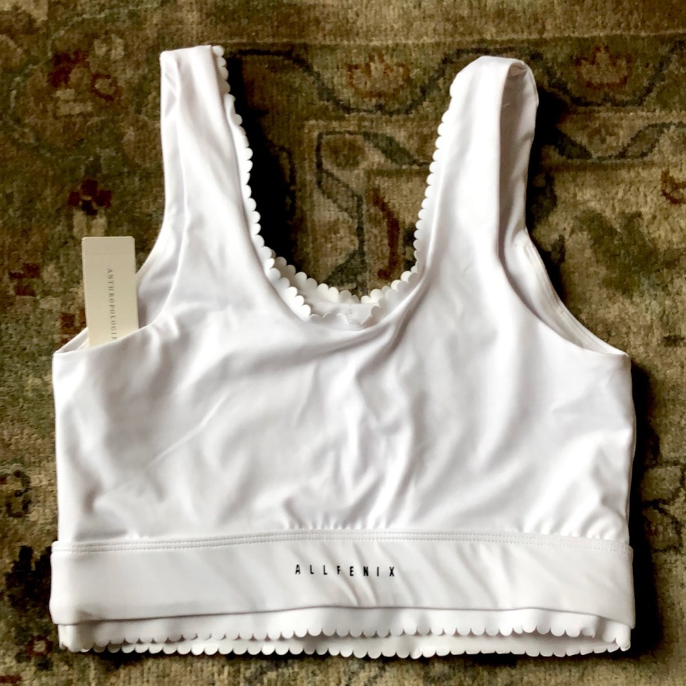 Allfenix Scalloped Crop Top